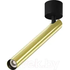 Точечный светильник Maytoni Ceiling C141CL-L300-6W3K-BBS