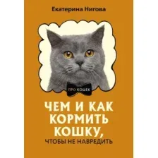 Чем и как кормить кошку, чтобы не навредить