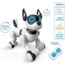 Музыкальная игрушка IQ Bot Собака Koddy 4376315