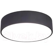 Потолочный светильник Citilux Тао CL712182N