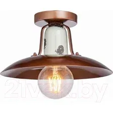 Потолочный светильник Lussole Loft Vermilion LSP-8162