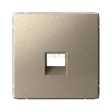 Лицевая панель SYSTEME (SCHNEIDER) ELECTRIC ArtGallery для функций типа Keystone шампань (GAL000584)