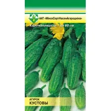 Огурец Кустовой 0.6г (семена)