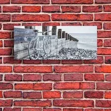 Картина на стекле Stamprint Велосипед у воды SD019 (50x125)