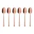 Набор кофейных ложек Sambonet Rock Copper 52762CA7