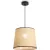 Подвесная люстра Freya Mixture FR5483PL-01B1