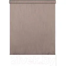 Рулонная штора LEGRAND Сидней 160x175 / 58103899 (трюфель)