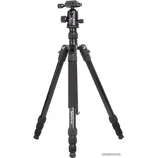 Трипод Raylab Pro 75 (с головой)