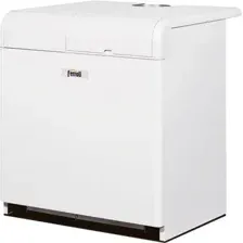 Отопительный котел Ferroli Pegasus 2S 67
