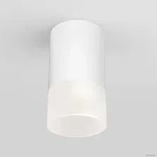 Уличный накладной светильник Elektrostandard Light 2106 35139/H (белый)