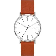Часы наручные мужские Skagen SKW6903