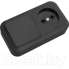 Блок выключатель+розетка Bylectrica Пралеска В-РЦ-521 (черный)