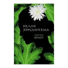 Белая хризантема