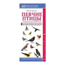 Певчие птицы. Обитатели лесов и полей