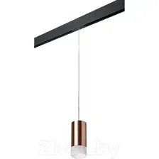 Трековый светильник Lightstar Rullo PRORP43031