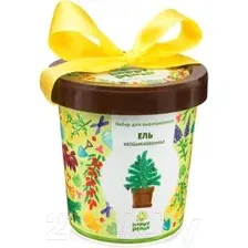 Набор для опытов Happy plant Ель необыкновенная hpn-10