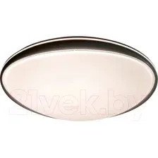Потолочный светильник Leek Afina 55W / LE061204-002