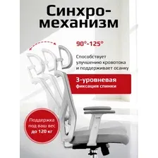 Кресло офисное компьютерное эргономичное EVOLUTION ErgoLine 2 Grey (серый)