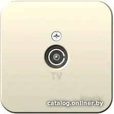 Розетка телевизионная Schneider Electric Blanca BLNTA000012