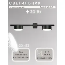 Припотолочная люстра Aitin Pro X3796/2 (черный)