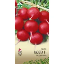 Редис Розетта F1 1г (Эксперт)