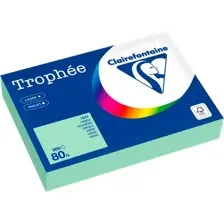 Бумага Clairefontaine А4 80г/м2 / 1975PC (500л, пастельный зеленый)