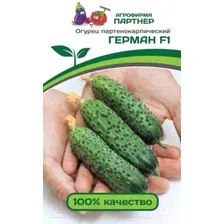 Огурец Герман F1 5шт семена.