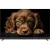 Телевизор Topdevice 55" QLED DQ08