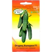Семена Sakata Огурец Валерия F1 (10шт)