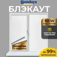 Рулонные шторы Sundays Home LM 167-01 48х160 (белый)