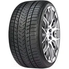 Зимняя шина Gripmax SureGrip Pro Winter 205/55R17 95V