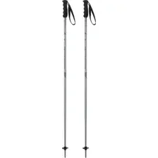 Лыжные палки Elan Speedrod 2024-2025 CD531524-135 (р.135, серый)