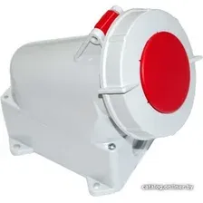 Розетка Bylectrica РПО32-903