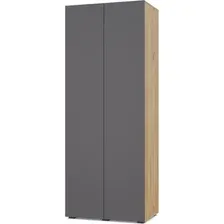 Шкаф Modern Челси Ч20 (золотой дуб/графит)
