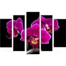 Модульная картина Arthata 5m-068 130x80