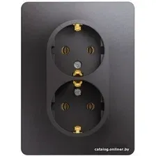 Розетка Schneider Electric GSL001324