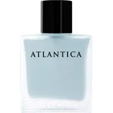 Парфюмерная вода Dilis Atlantica Silver Moon (100мл)