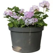 Кашпо Gardenplast Фикус 20 / 00252 (графитовый)