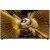 MiniLED телевизор TCL 75X11L