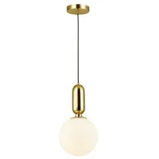 Подвесная люстра Odeon Light Okia 4669/1