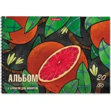 Альбом для рисования Erich Krause Juicy Fruits / 58594