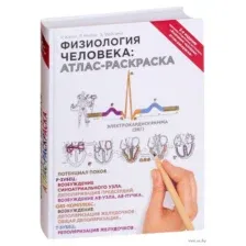 Физиология человека: атлас-раскраска