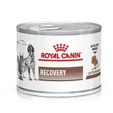 Royal Canin Recovery (мусс) 195 г х 10 шт