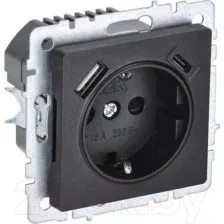 Розетка IEK Brite BR-R14-16-U22-018-K02 (черный)