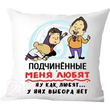Декоративная подушка Print Style Подчиненные меня любят 40x40plat154