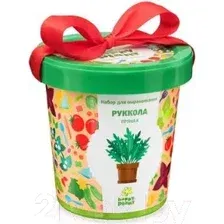 Набор для выращивания растений Happy Plant Руккола пряная / hpn-16