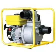 CHAMPION GP80