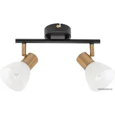 Спот Arte Lamp Falena A3117PL-2BK