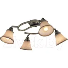 Спот Citilux Прованс CL511143