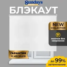 Рулонные шторы Sundays Home LM 167-01 110х160 (белый)
